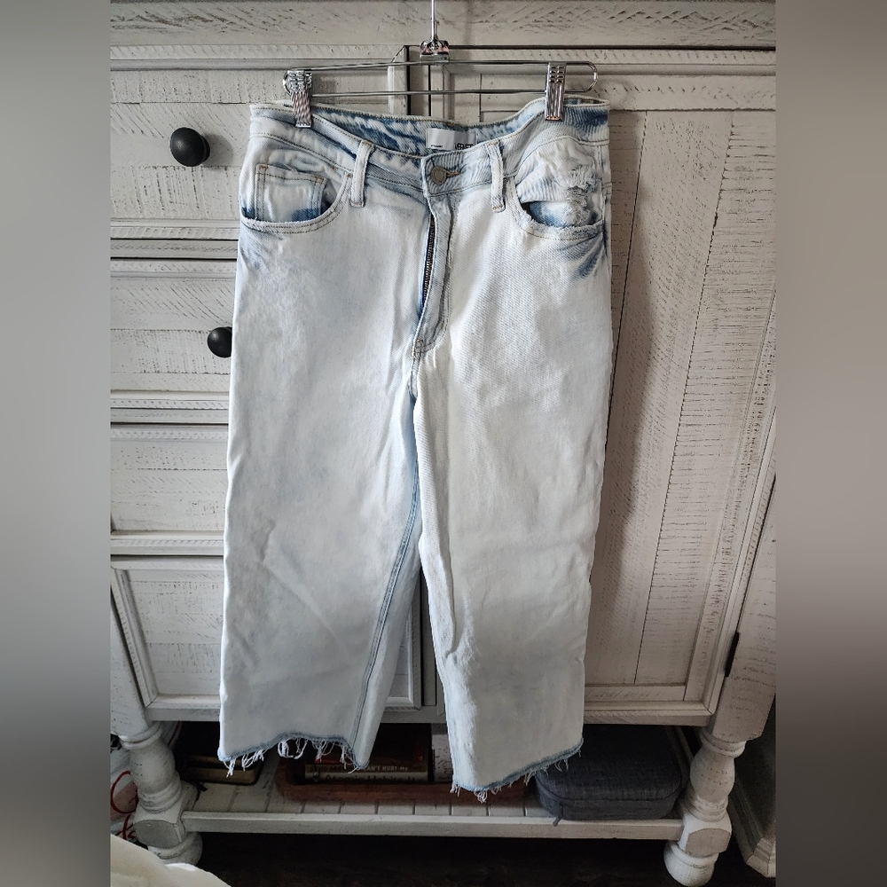 Vervet Cropped Relaxed Wide Leg Jeans